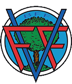 logo FVF Noticias